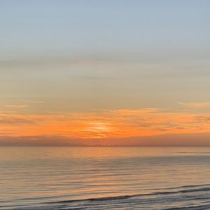 Meet your Posher, Eva